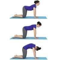 On all fours with your hips under your knees and hands under your shoulders. Then the same position while looking down then arching back upwards